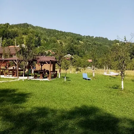 Casa Ursului 农家乐 *