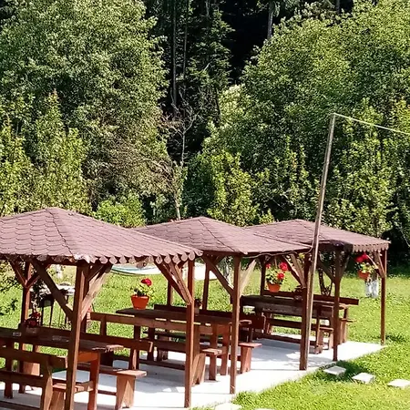 Casa Ursului