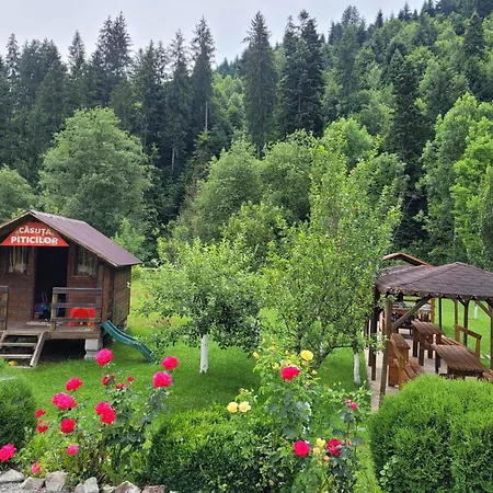 Casa Ursului 农家乐 Vadu Motilor