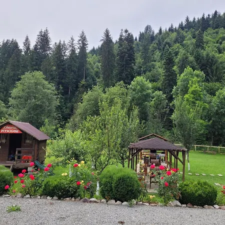 Casa Ursului *